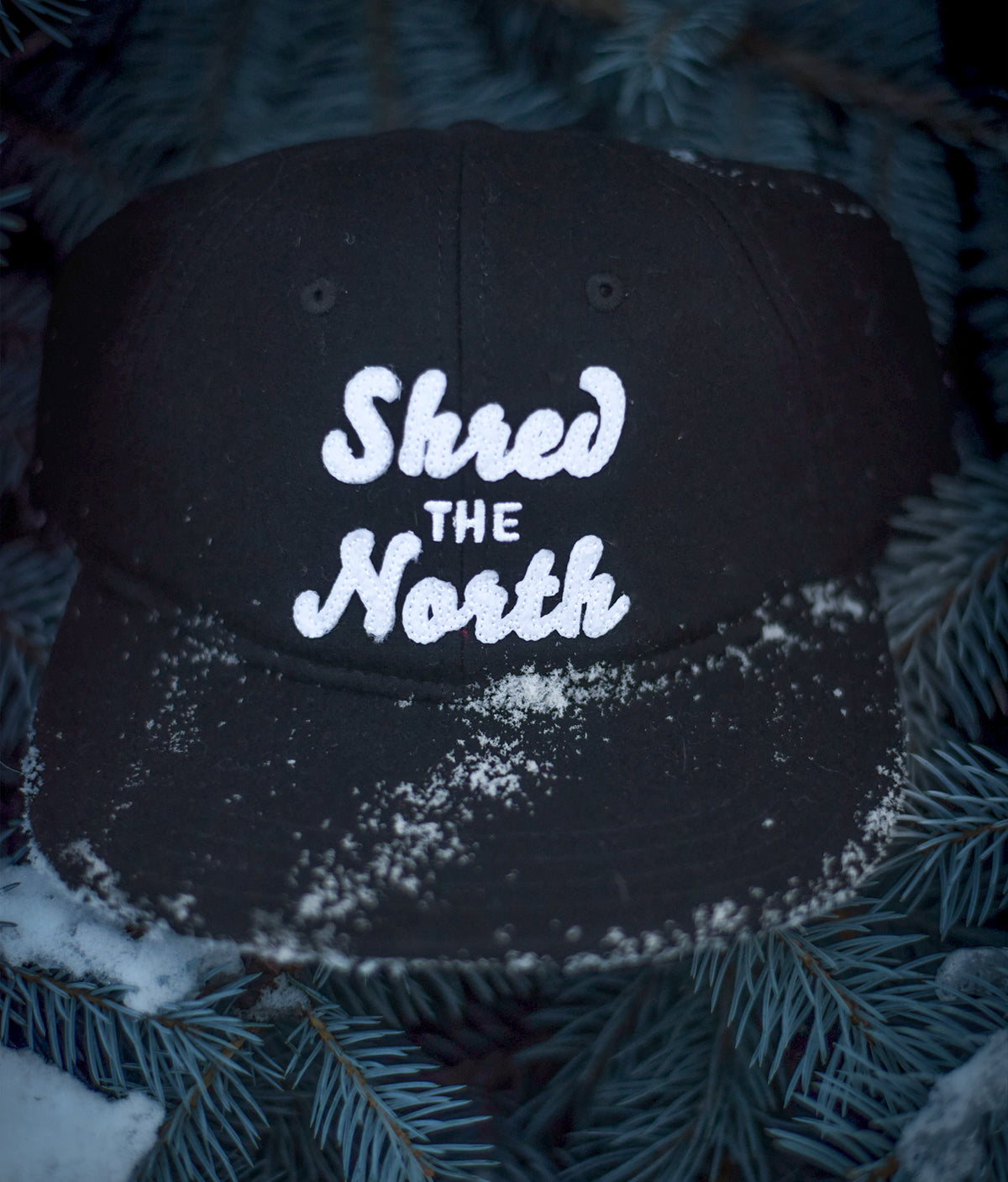 Shred the North Skater Hat