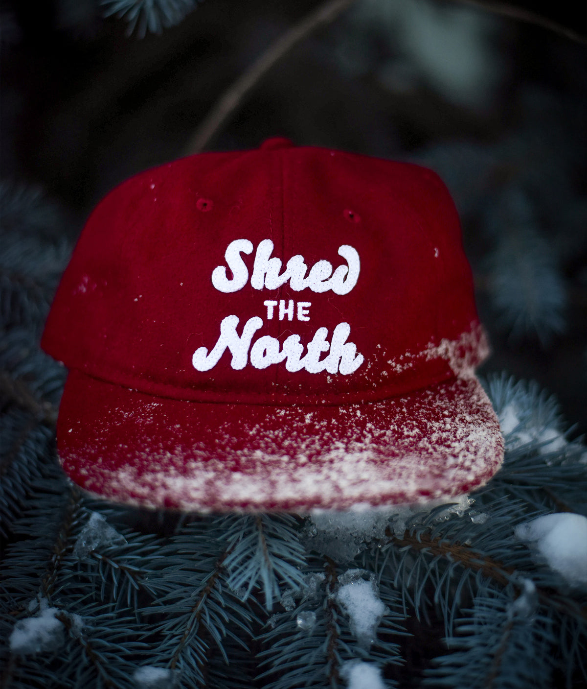 Shred the North Skater Hat